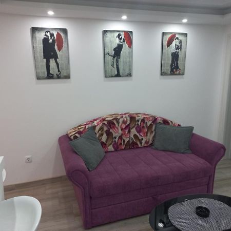 Adrijana 2 Apartmani Vrnjacka Banja Luaran gambar